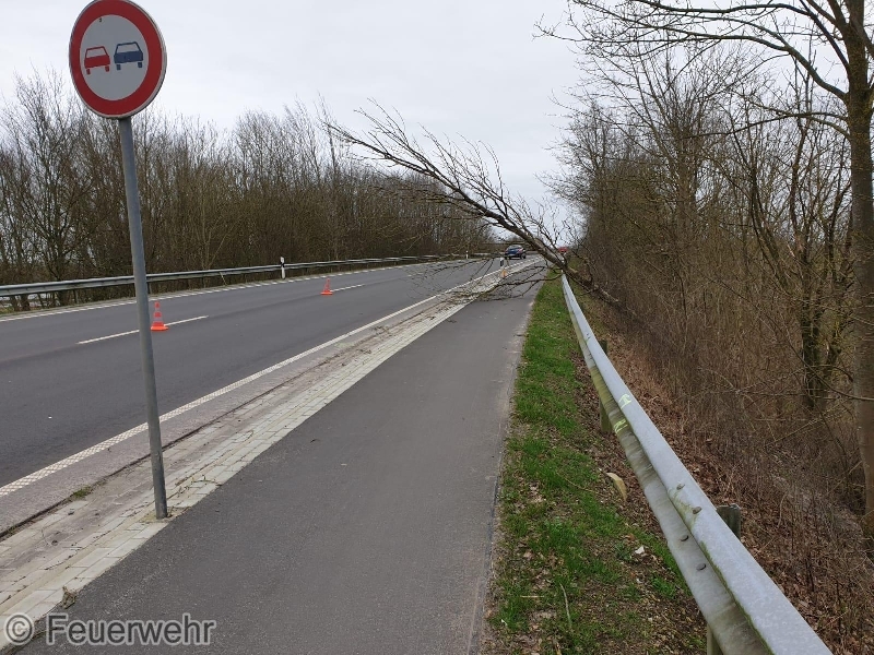 Einsatzfoto diverse Sturmschäden