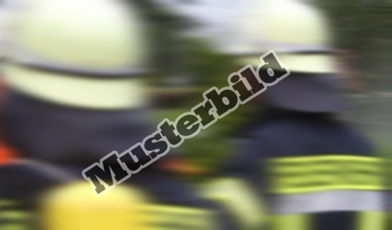 images/musterl.png